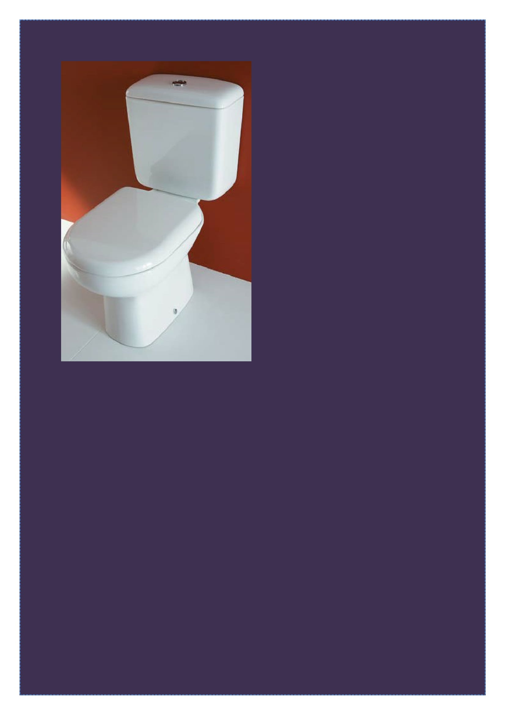 PHOTO OF JUMEIRAH SEAT COVER FITTED ON LIWA WATER CLOSET