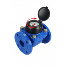 JANN WOLTMAN WATER METER ROTATING DIAL